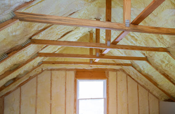 Best Commercial Insulation in Agler Estates, FL