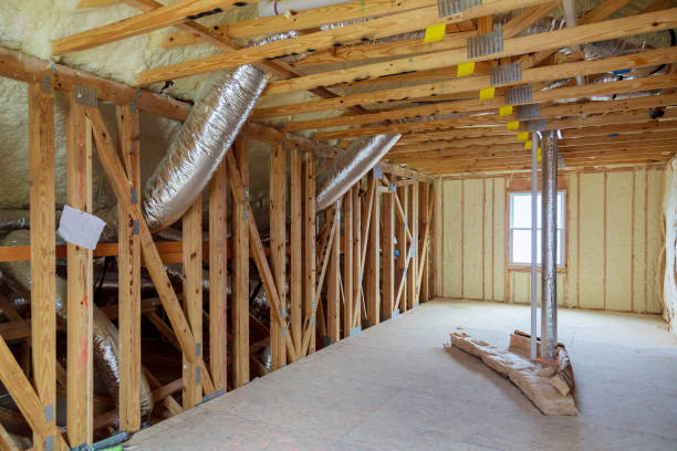 Best Residential Insulation in Agler Estates, FL