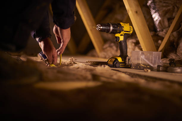 Best Insulation Maintenance and Repair in Agler Estates, FL